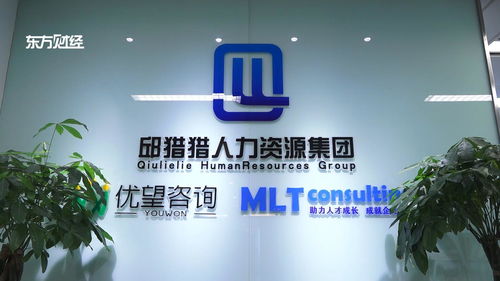 上海優(yōu)望企業(yè)管理咨詢挖掘優(yōu)質(zhì)人才,給能源領(lǐng)域提供不竭動力