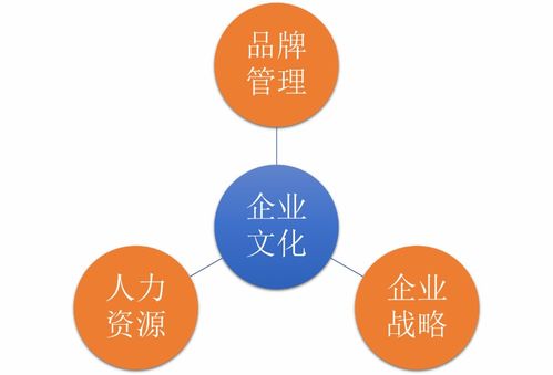 如何為甲方提供滿(mǎn)意的企業(yè)文化咨詢(xún)服務(wù)
