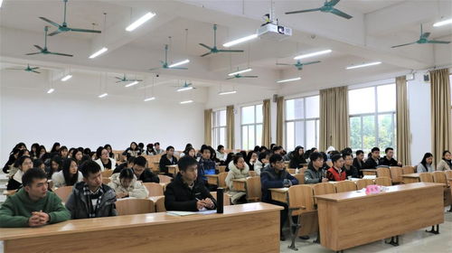 經(jīng)濟與管理學(xué)院開展 企業(yè)管理咨詢服務(wù)實訓(xùn) 集中實踐教學(xué)活動